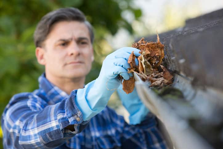 Man Clearing Leaves From Guttering Of House