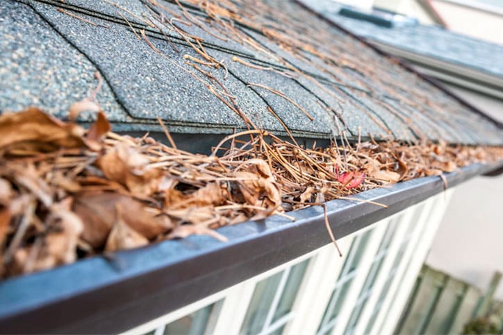 Clogged Gutters