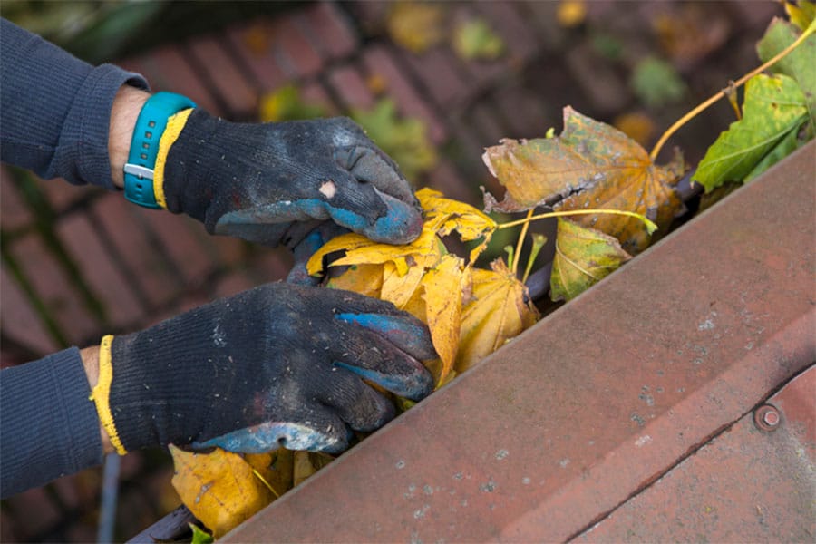 Gutter Cleaning Service in Ferndale MI